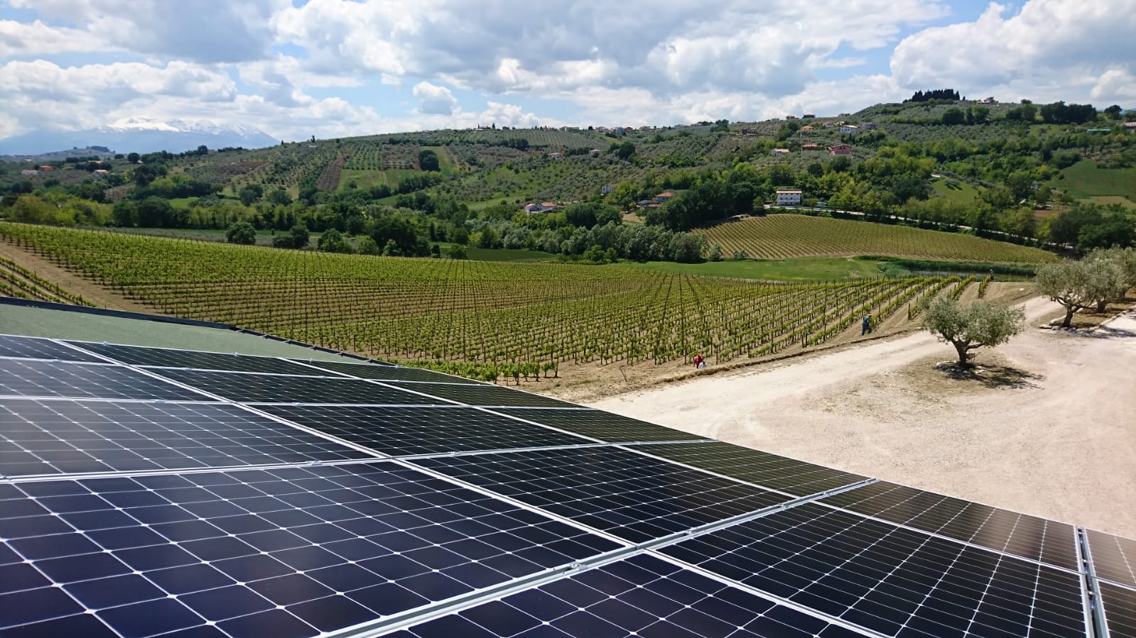 SunPower® rende il vino sostenibile a Collecorvino (PE)